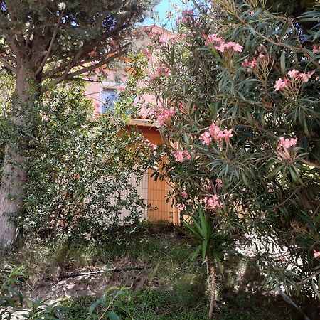 Bel Appartement Bord De Mer Cerbere Exterior photo